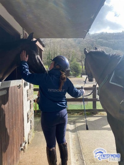Horses